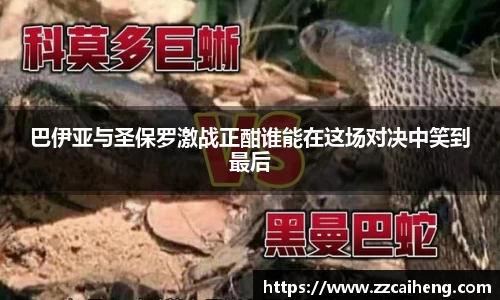 星空·综合体育官方网站