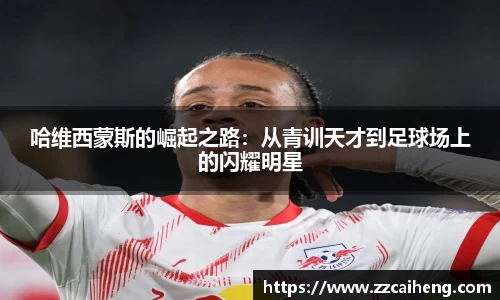 星空·综合体育中国官网