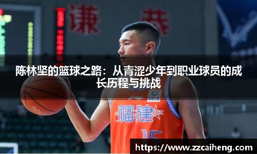 星空·综合体育官方网站